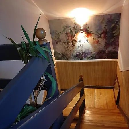 Lesna Struga Stronie Śląskie