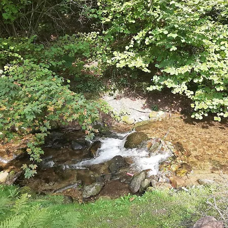 Lesna Struga فيلة *