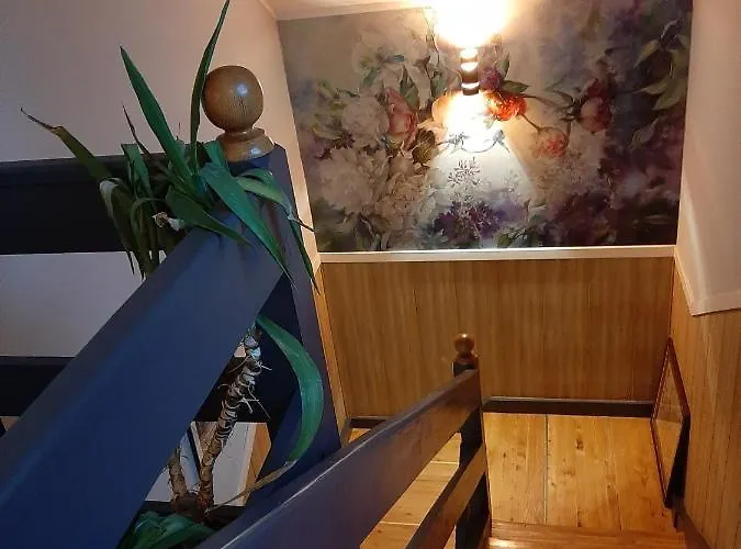 Lesna Struga Stronie Śląskie